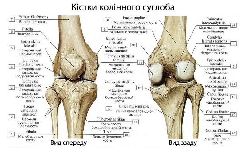 Гемартроз колінного суглоба