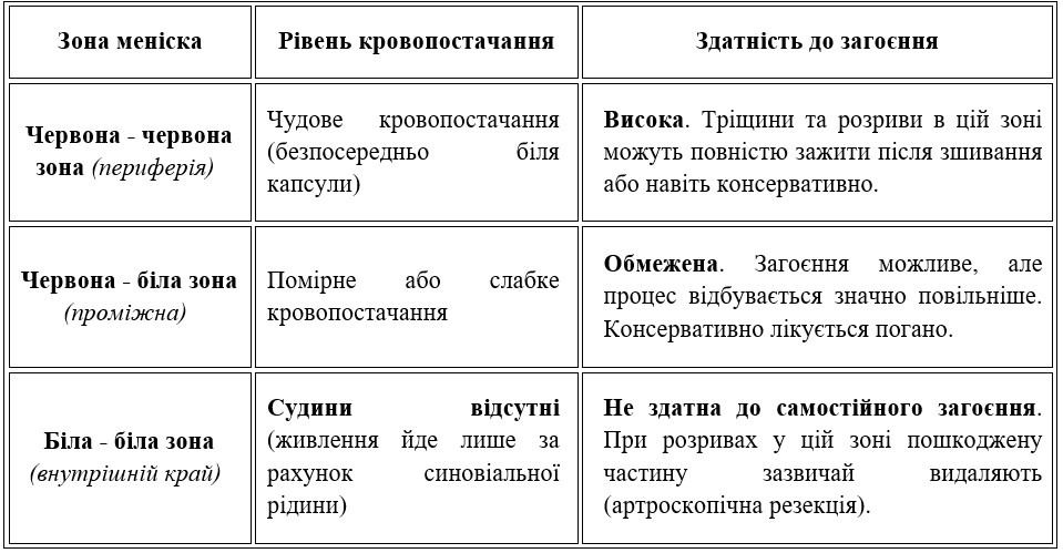 Для клінічної практики (лікування розривів та дегенеративних змін) критично важливою є анатомія кровопостачання менісків. Судини підходять до менісків тільки з боку капсули суглоба, тому їх ділять на три зони: