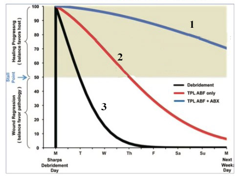 Профиль прогрессии/регрессии, иллюстрирующий комплексный подход к проблеме биоплёночной инфекции 1. Дебридмент + противобиопленочные препараты + АБ терапия 2. Дебридмент + противобиопленочные препараты 3. Дебридмент